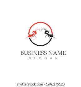 Ant Logo template vector illustration design
