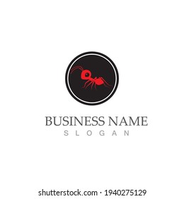 Ant Logo template vector illustration design