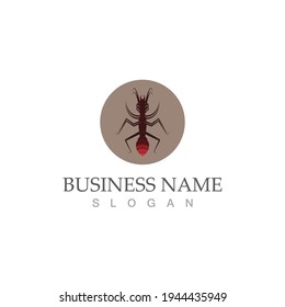 Ant Logo template vector illustration design