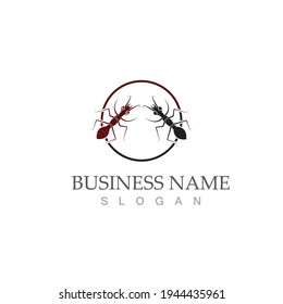 Ant Logo template vector illustration design