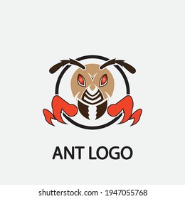 Diseño de ilustración vectorial de la plantilla de logotipo de hormiga