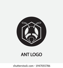 Ant Logo template vector illustration design