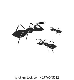 Ant Logo template vector illustration design