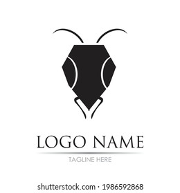 Ant Logo template vector illustration design