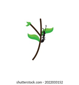 Ant Logo template vector illustration design