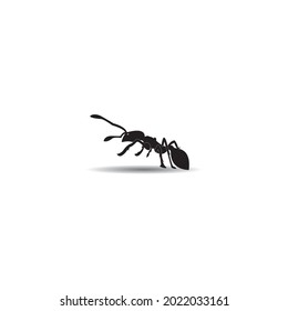 Diseño de ilustración vectorial de la plantilla de logotipo de hormiga