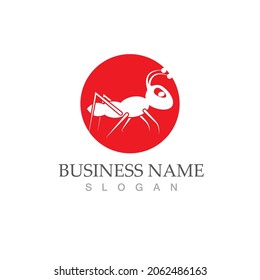 Ant Logo template vector illustration design