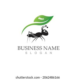 Ant Logo template vector illustration design