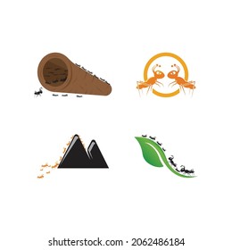 Ant Logo template vector illustration design