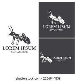 Ant Logo template vector illustration design