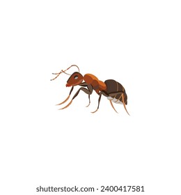 Ant Logo template vector illustration design