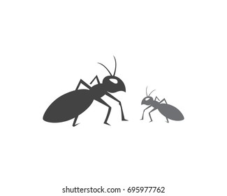 Ant Logo template vector illustration design