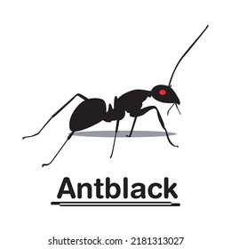 Ant Logo, Vektordesign und Illustration