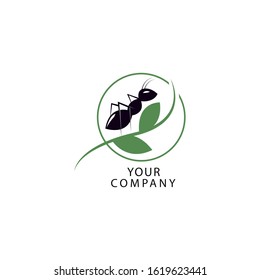 ant logo vector illustration. ant logo desing, symbol icon.