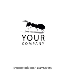 ant logo vector illustration. ant logo desing, symbol icon.