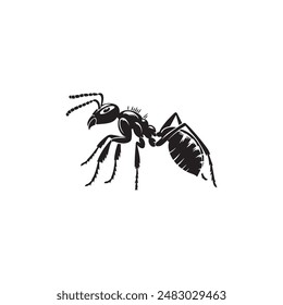 Ant Logo Vector silhouette image