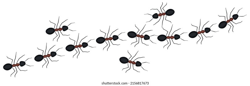 Ant Marching In Line In Cartoon Style