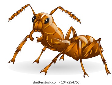 ant on a white background. 10 EPS