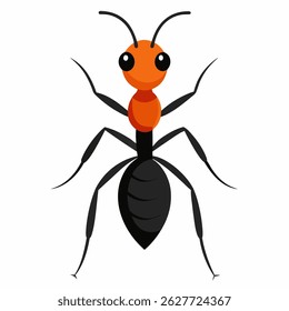 ant on white background on
