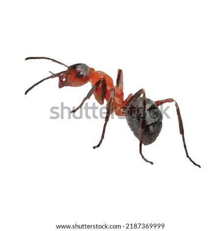 Ant on white background. Emmet vector picture. Pismire illustration. Cartoon ant picture. Emmet hand drawn. Insect illustration. Picture for logo, greeting card and design.