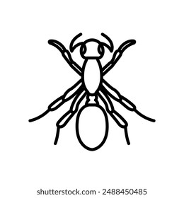 Ant Outline Icon, Vector illustration