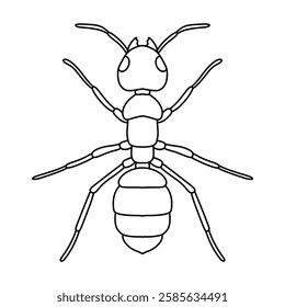 ant outline icon vector illustration isolated on white background