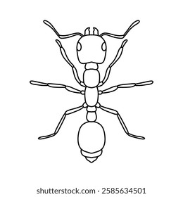 ant outline icon vector illustration isolated on white background