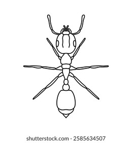 ant outline icon vector illustration isolated on white background