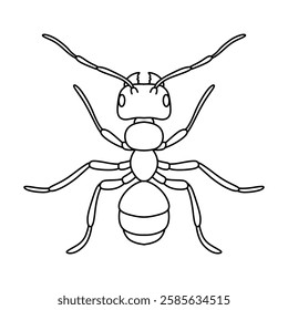 ant outline icon vector illustration isolated on white background