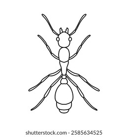 ant outline icon vector illustration isolated on white background