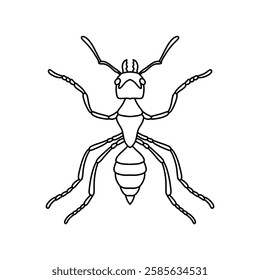 ant outline icon vector illustration isolated on white background