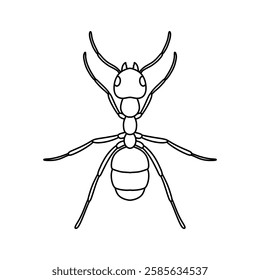 ant outline icon vector illustration isolated on white background