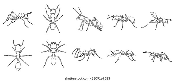 Ant Outline Illustration Vector Set