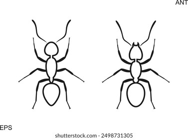 Ant outline. Isolated ants on white background