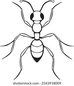 Ant outline vector art black color illustration