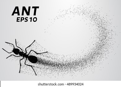 Ant of the particles. The ant consists of small circles.