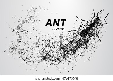 Ant of the particles. The ant consists of small circles