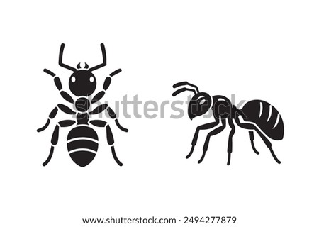 Ant photo and vector simply art works