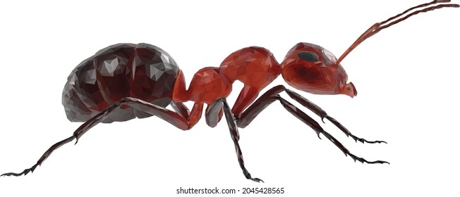 ant polygon animal color real vector