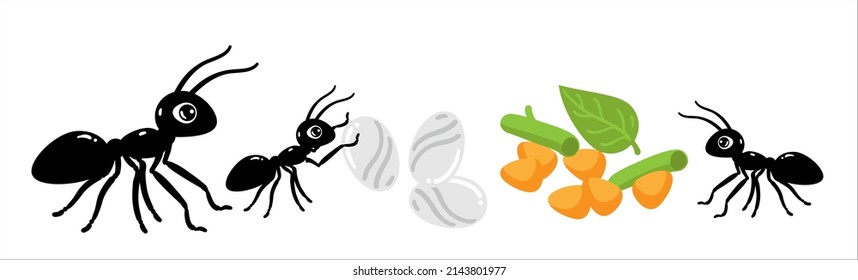 Hormigas, Antillas, larvas, alimentos, reservas de hormigas de insectos. Ilustración dibujada por vectores. El personaje de un niño, una hormiga linda.