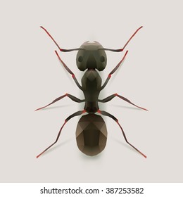 ant, realistic polygon illustration