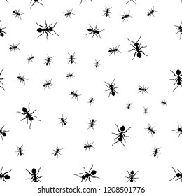 Ant seamless pattern. Black and white vector seamless pattern with ants. Animal background