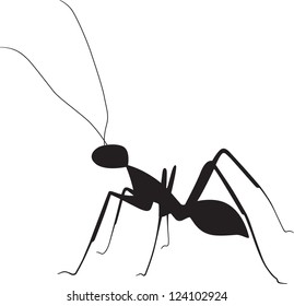 Ant Silhouette