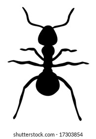 Ant Silhouette