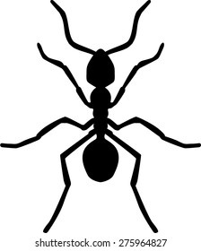 Ant Silhouette