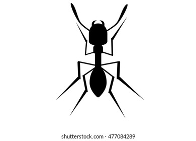 ant silhouette