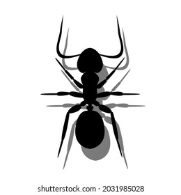 ant with silhouette clipart, insect vector illustration