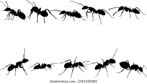 Ant Silhouette Collection for your design