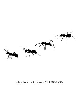 ant silhouette, colony crawling