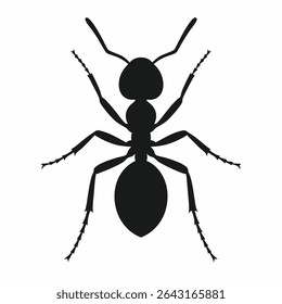 Ant Silhouette Graphic with Distinct Body Segments and Antennae